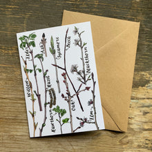 Load image into Gallery viewer, Hey Buddy! Tree Identification Greeting Card