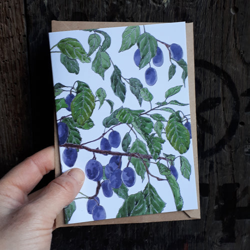 Damson Card