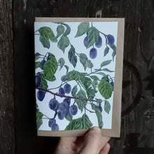 Load image into Gallery viewer, Damsons card by Alice Draws the Line, illustrated damsons