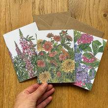 Load image into Gallery viewer, A set of three cards with botanical illustrations by Alice Savery artist, lupins, hydrangeas and dahilas in the height of summer by Alice Draws the Line