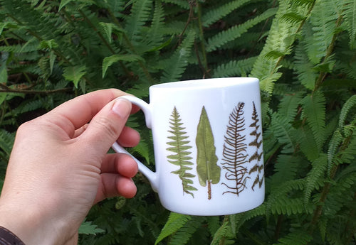 Ferns and Bracken China Mug by Alice Draws The Line, Fern mug, Ferns Gift