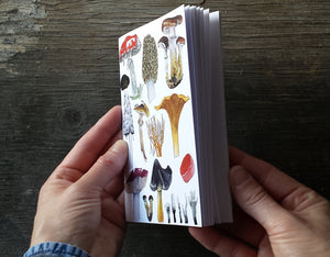 Fungi and Mushrooms Notebook by Alice Draws The Line, A6 with 36 plain pages, recycled paper
